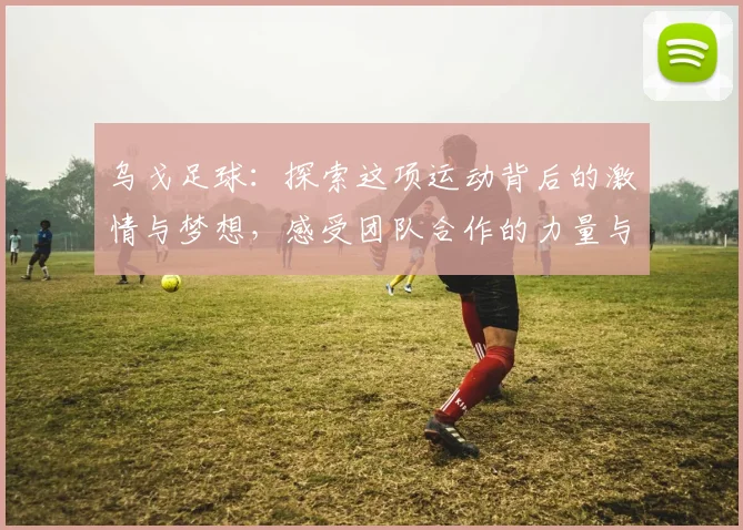 乌戈足球：探索这项运动背后的激情与梦想，感受团队合作的力量与魅力