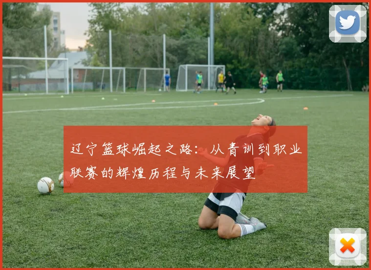 辽宁篮球崛起之路：从青训到职业联赛的辉煌历程与未来展望