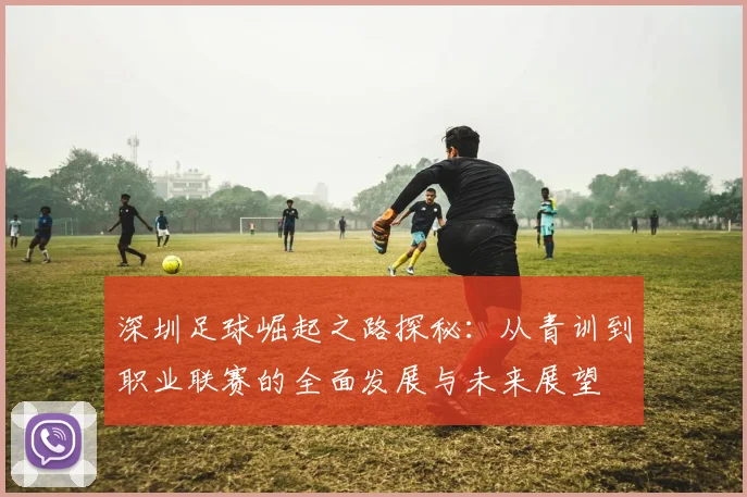 深圳足球崛起之路探秘：从青训到职业联赛的全面发展与未来展望